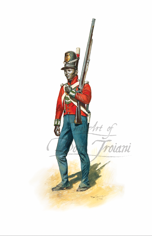 5th West India Regiment, 1814