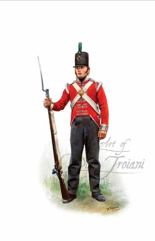 British Private, 43rd Regiment of Foot, 1814-1815