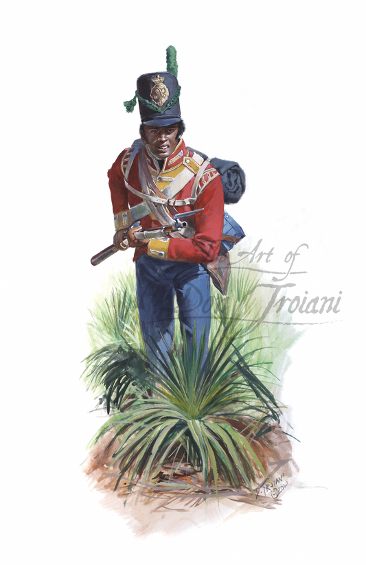 Private, Light Company, 2nd West India Regiment, 1814-1815