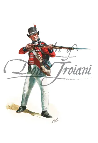 War Of 1812 British Royal Marines 2nd Battalion 1813 1815 The Art 