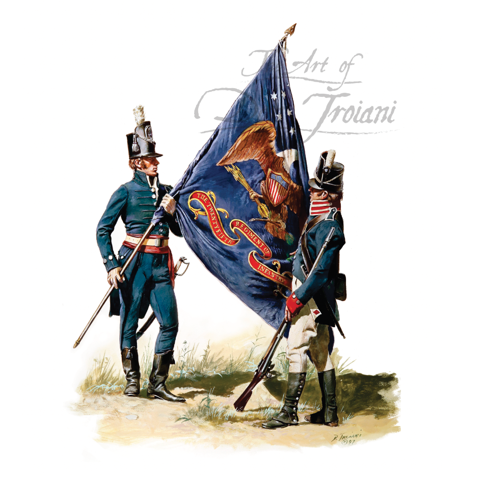 k) Flag Soldier Studies (all eras & nations)