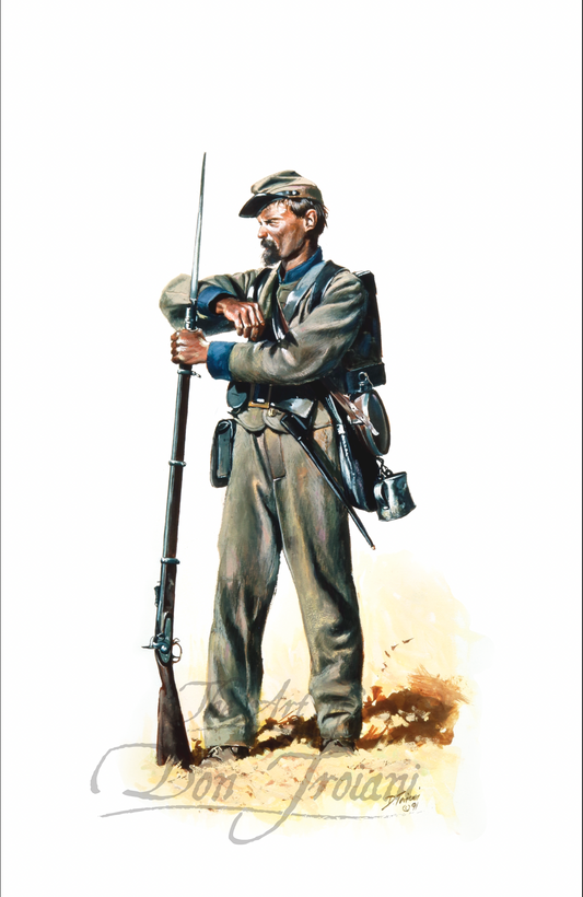 29th Alabama Infantry, Spring of 1864