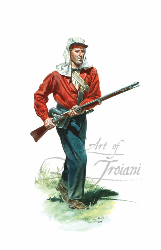 1st Minnesota Regiment, 1861
