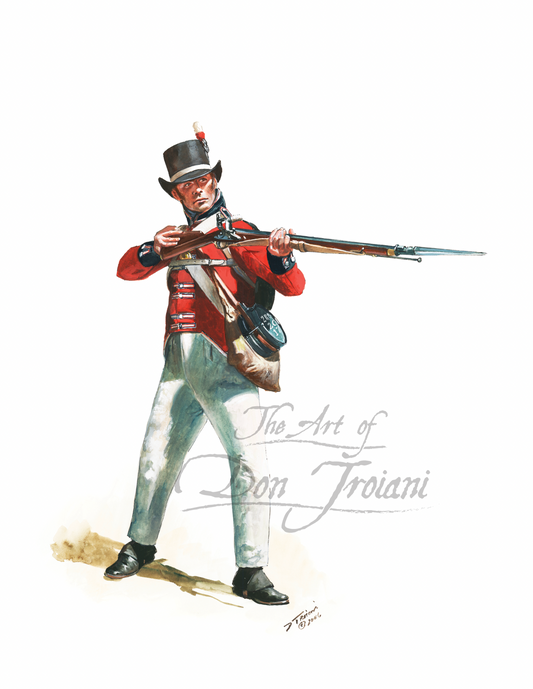 War of 1812, British Royal Marines, 2nd Battalion, 1813-1815