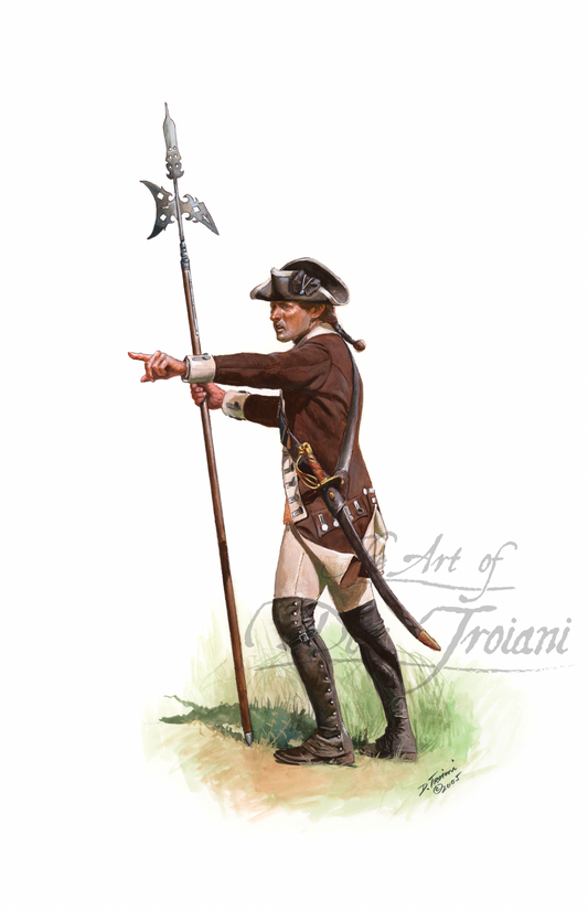 Continental Infantry: Sergeant Of Greaton's 24th Regiment, 1776
